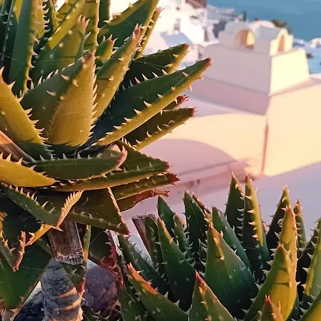 Santorini Ethereal Blue Apartmanhotel Pírgosz